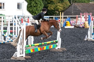 Class 3 -  Fences not above 2'3